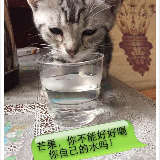 办理渥太华大学假文凭假毕业证